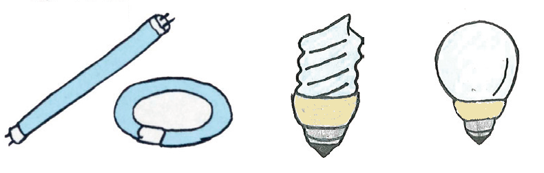 3種類の蛍光管が並んだイラスト