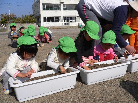 子どもたちが横に列になり、プランターの中を覗き込んでいる写真