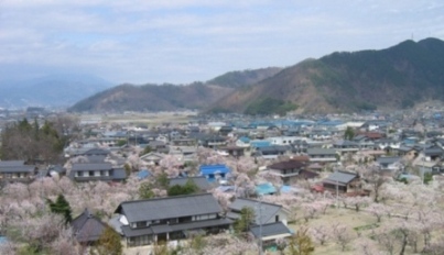 青空とあんずの花が咲く街並みを見下ろす風景写真
