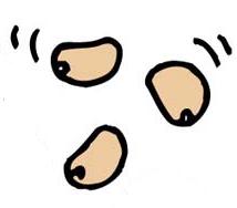 三粒の豆がころりと並んでいるイラスト