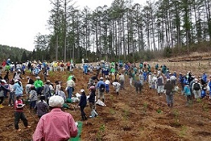 遠くに高い木の見える広い土の大地に人がたくさんいる写真