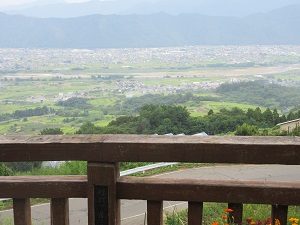 柵の向こうに、田んぼと住宅のある田園風景が広がっている写真