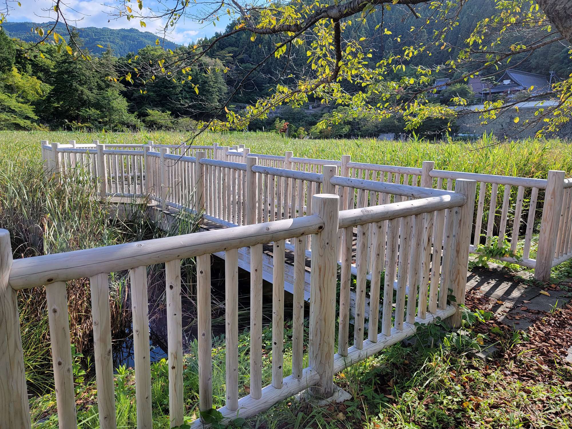 公園内の写真