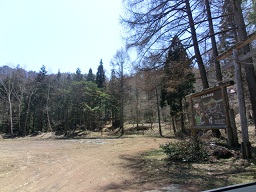 背の高い木々と案内の看板、広場を映した写真