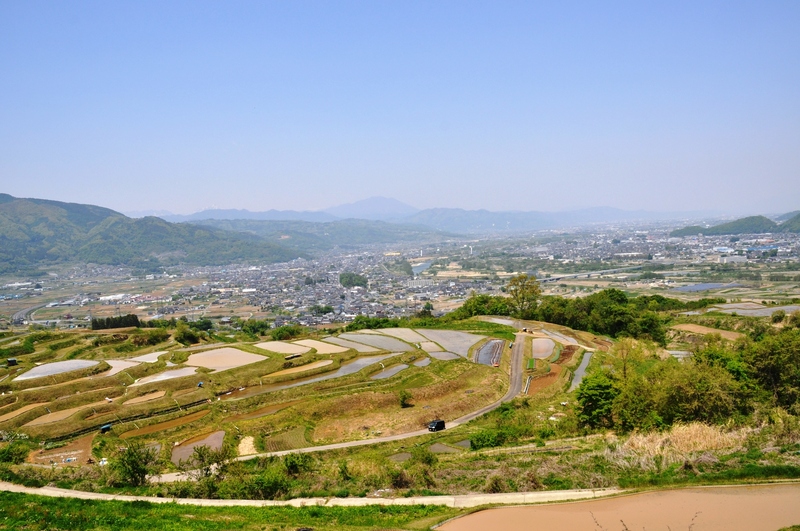 緑色の田畑がグラデーションのように広がり、遠くには千曲市の町が見える「姨捨の棚田」の写真