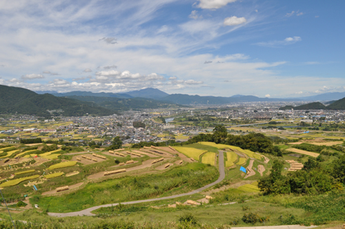 青空の下に、棚田の風景が一面に広がっている写真