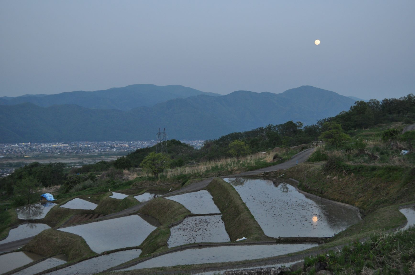 段々畑を俯瞰視点で撮影した写真