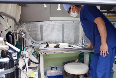 お出かけ市長室1(千曲ねこの会)