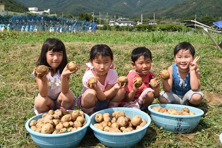 青いカゴに入った沢山のじゃがいもと四人の児童が笑顔で並んでいる写真