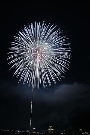 ブルーの美しい花火が打ちあがっている写真
