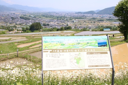 棚田についての説明が書かれている案内板の写真