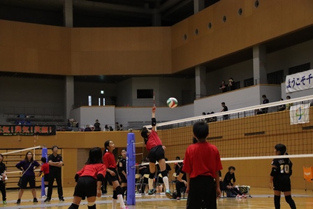 バレーボールの試合でネットの近くでシュートを打つ直前の写真