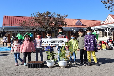 園庭で並んで記念撮影をしている園児たちの写真