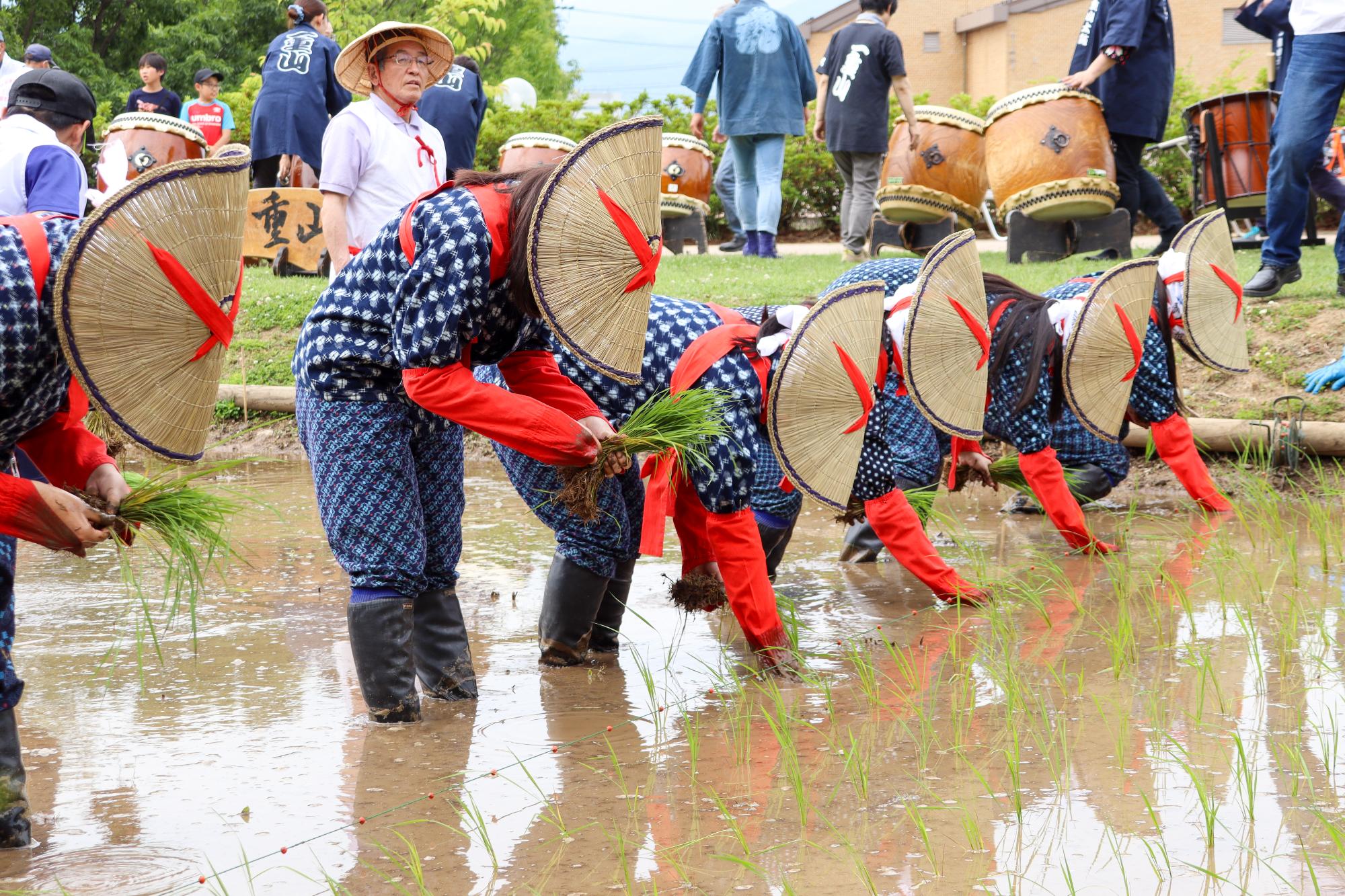 田植えをする早乙女たち