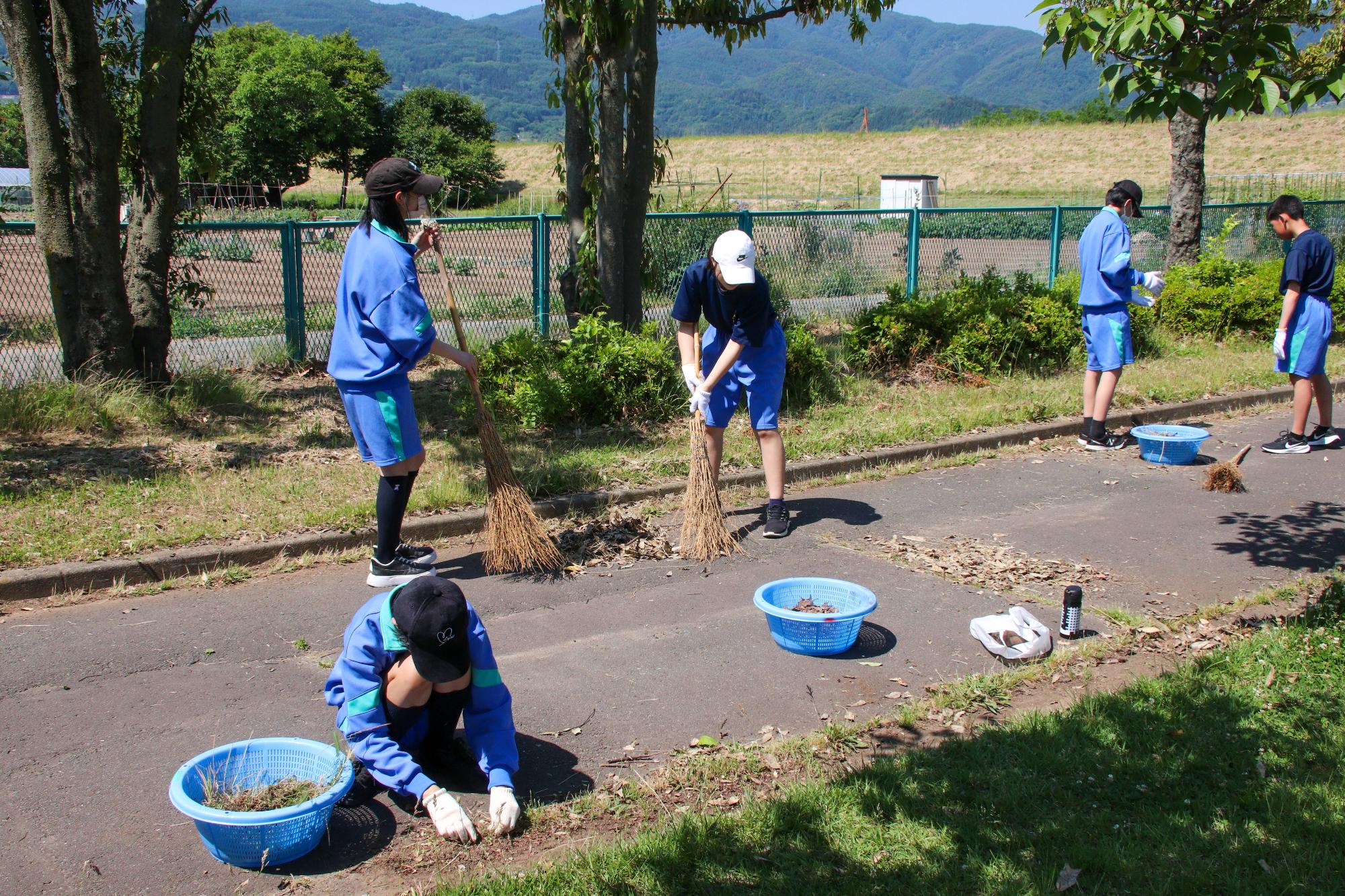 更埴中央公園遊歩道の掃き掃除を行っている様子