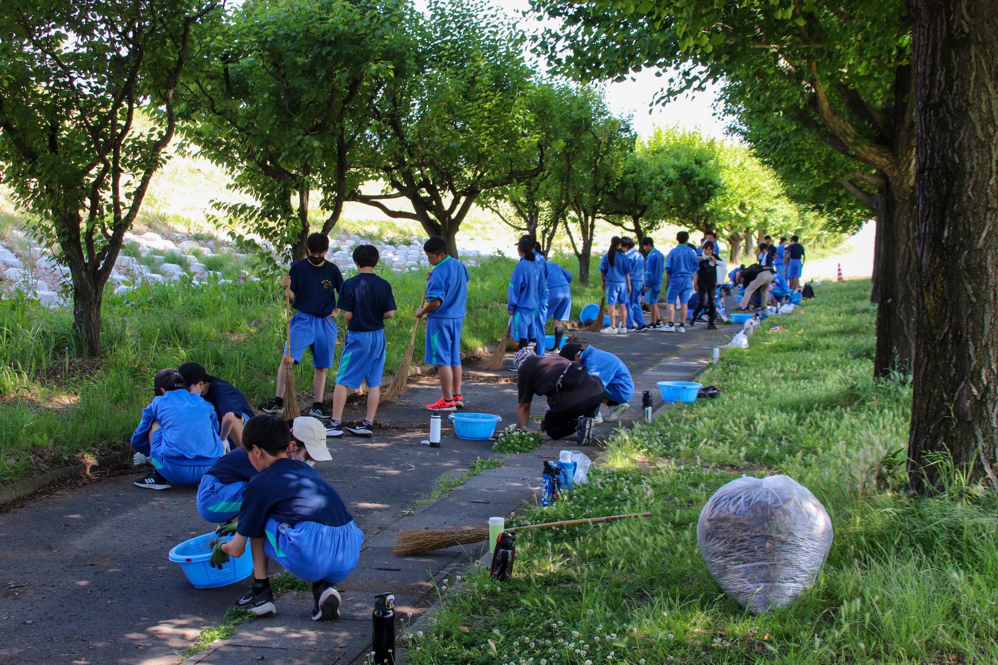 更埴中央公園遊歩道の草取り、落ち葉拾いをしている様子