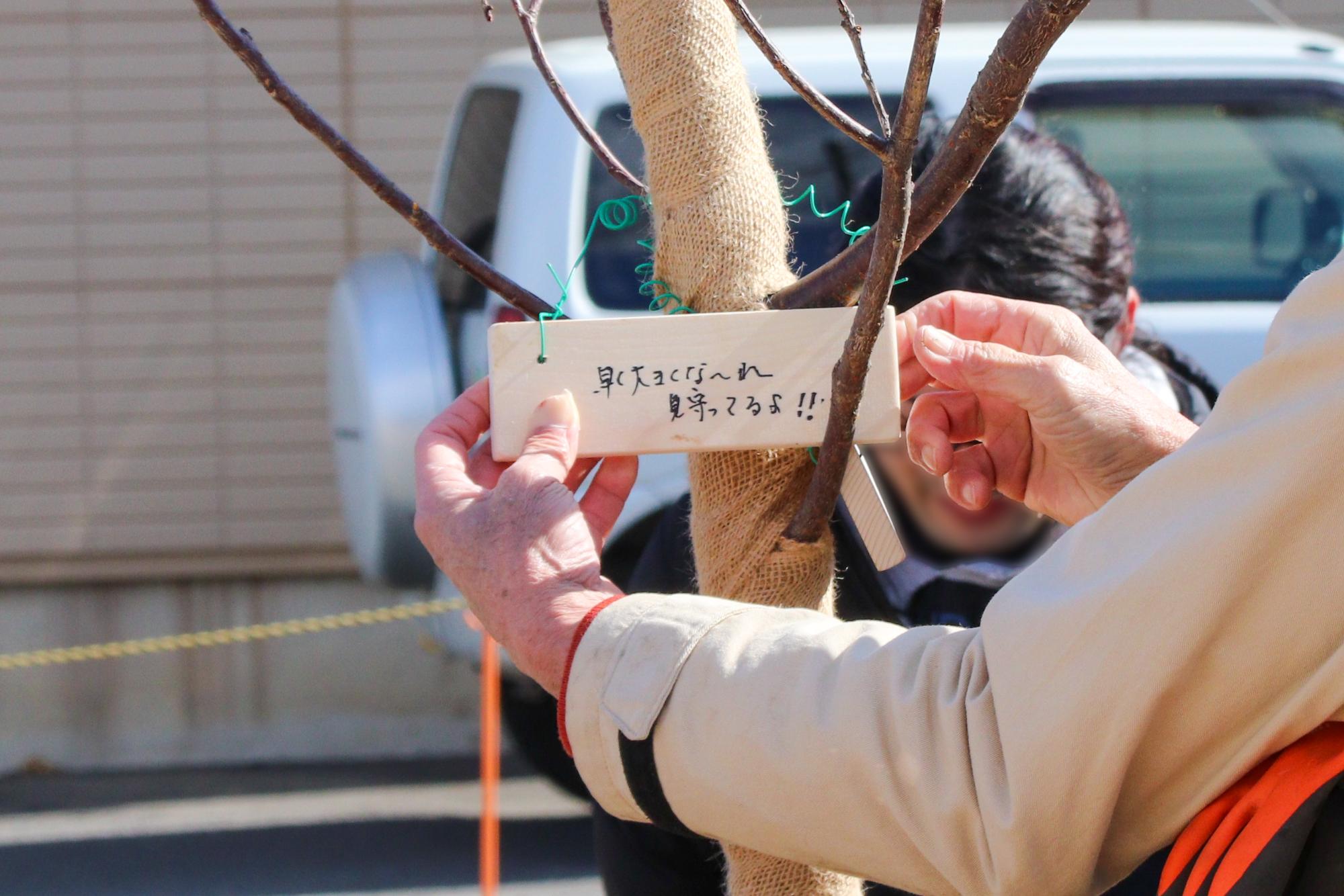 桜の木にメッセージプレートを掛ける瞬間