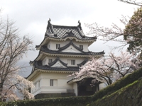 宇和島城
