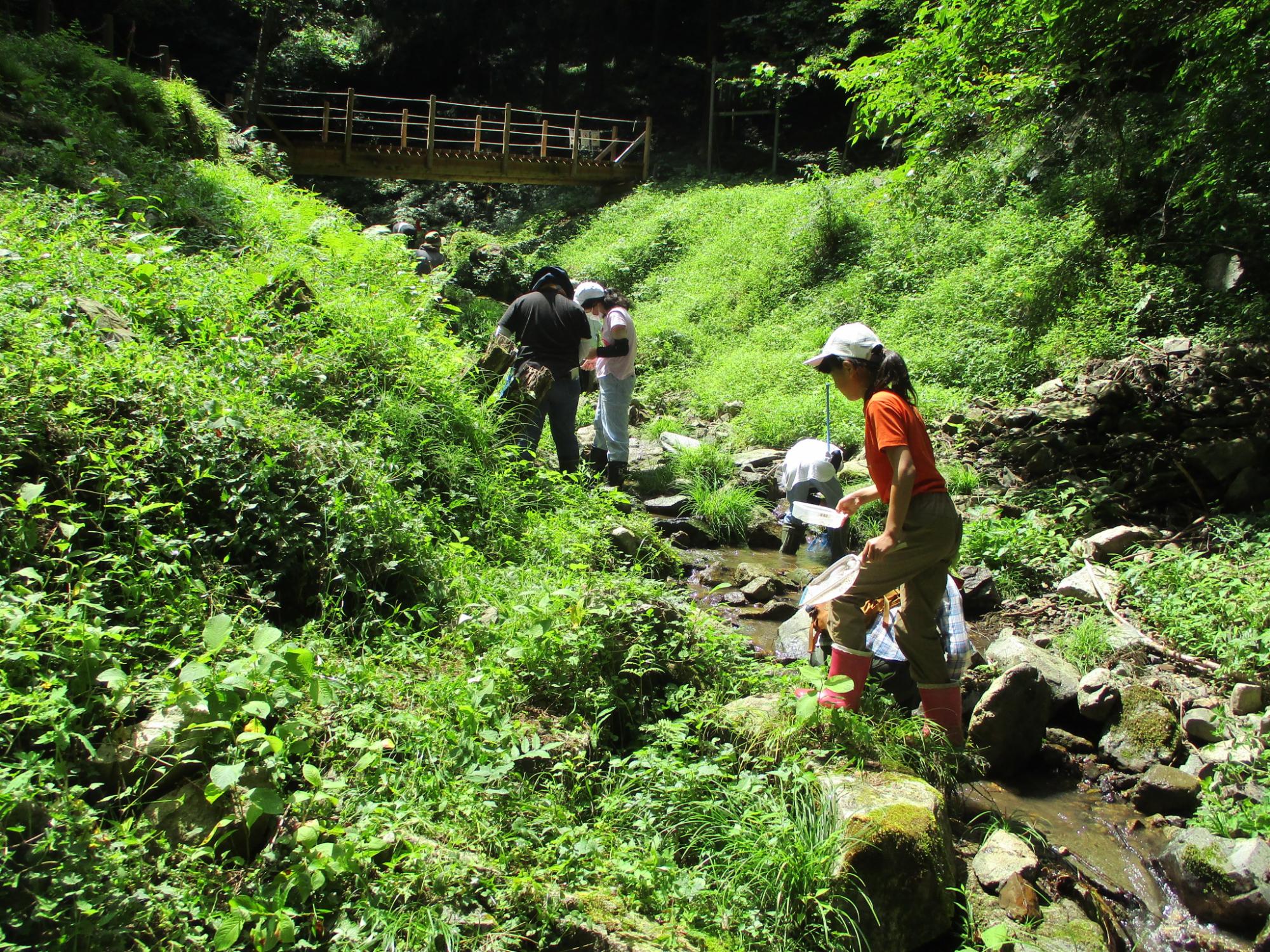 千曲川水生生物教室