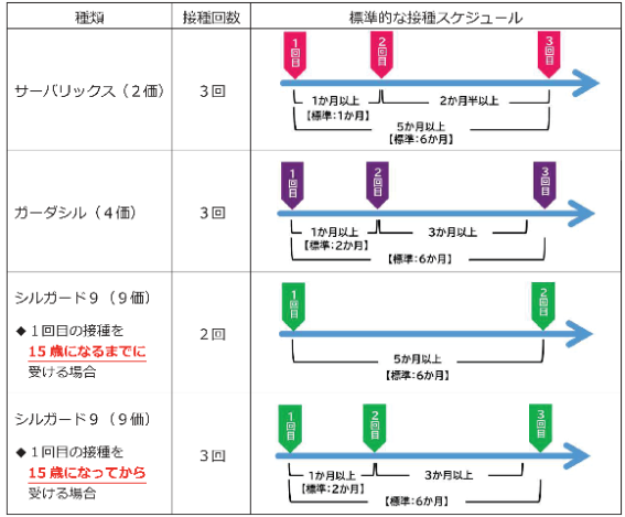 HPVスケジューール