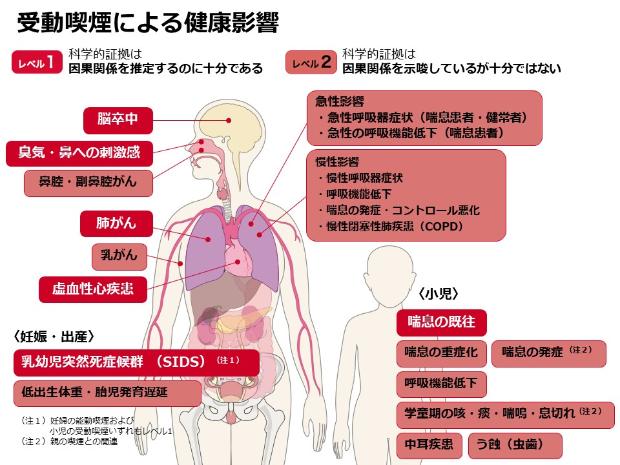 受動喫煙による健康影響の図