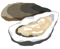 牡蠣のイラストです。