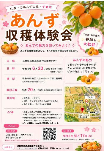 あんず収穫体験チラシ