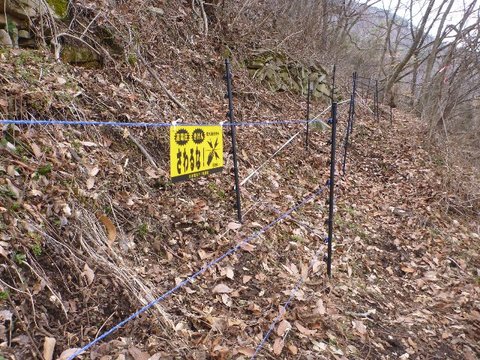 枯れ葉で覆われた山の中に、「さわるな！」と書かれた札がついた柵が設置されている写真