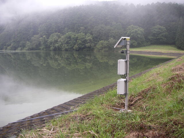 木々や芝生に囲まれ霧の出ている大池上池周辺の写真