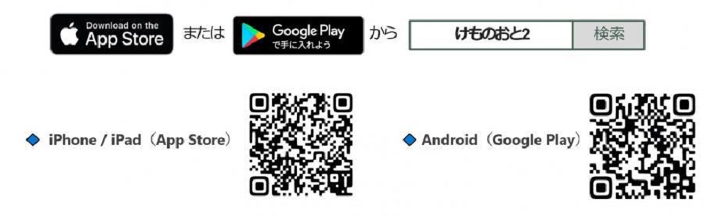qr.jpg