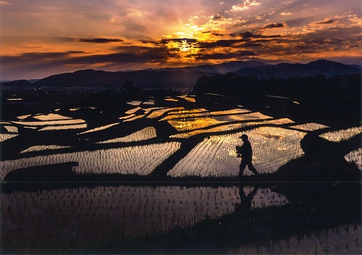沈む夕日、棚田と歩く人のシルエットを映した風景写真