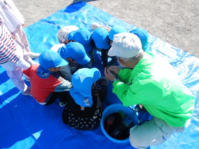 緑の作業服を着た農林課職員が、青い帽子をかぶった園児たちにどんぐりの植え方を教えている写真