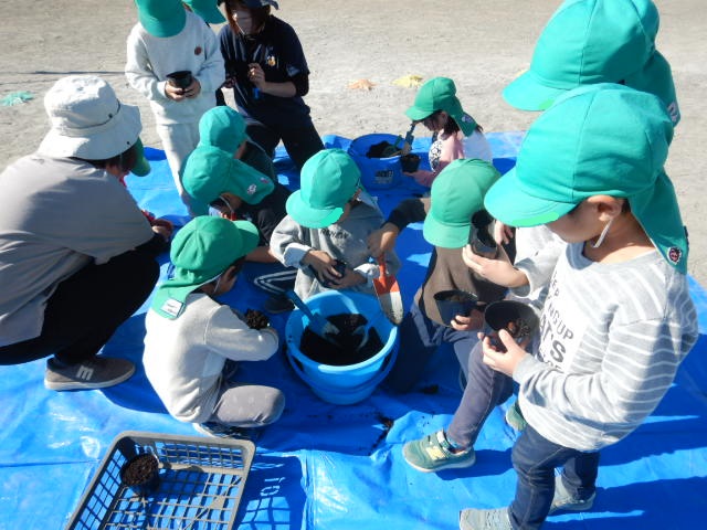 緑の帽子をかぶった園児たちがどんぐりを植えている写真