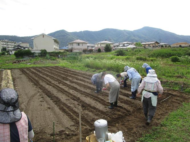 農作業を学ぼう