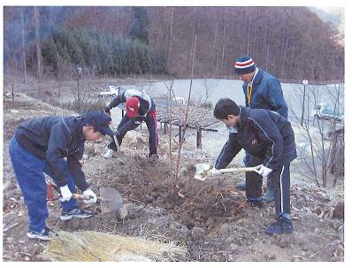 4人の大人が木の苗をシャベルで土をかけて植えている写真