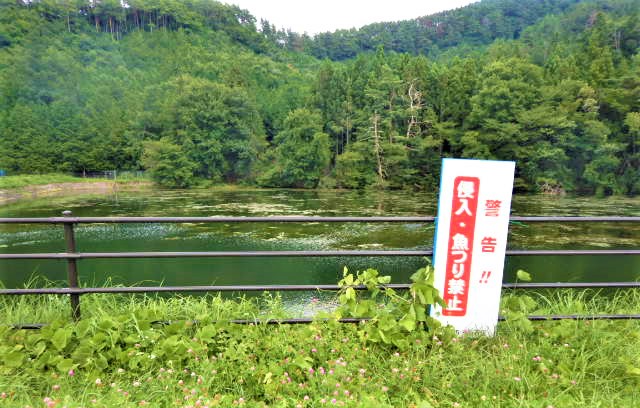 緑の木々に囲まれ「侵入・魚釣り禁止」と書かれた看板が立っているため池の周辺写真