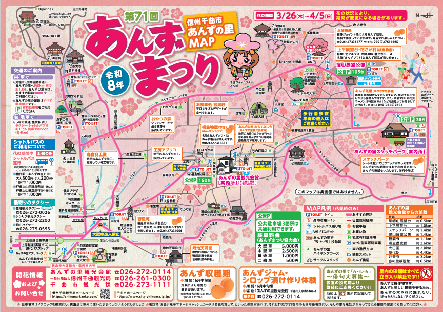 第71回あんずまつりチラシ（表）