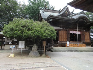 大きな神社の建物が建っている、木々に囲まれた境内の写真