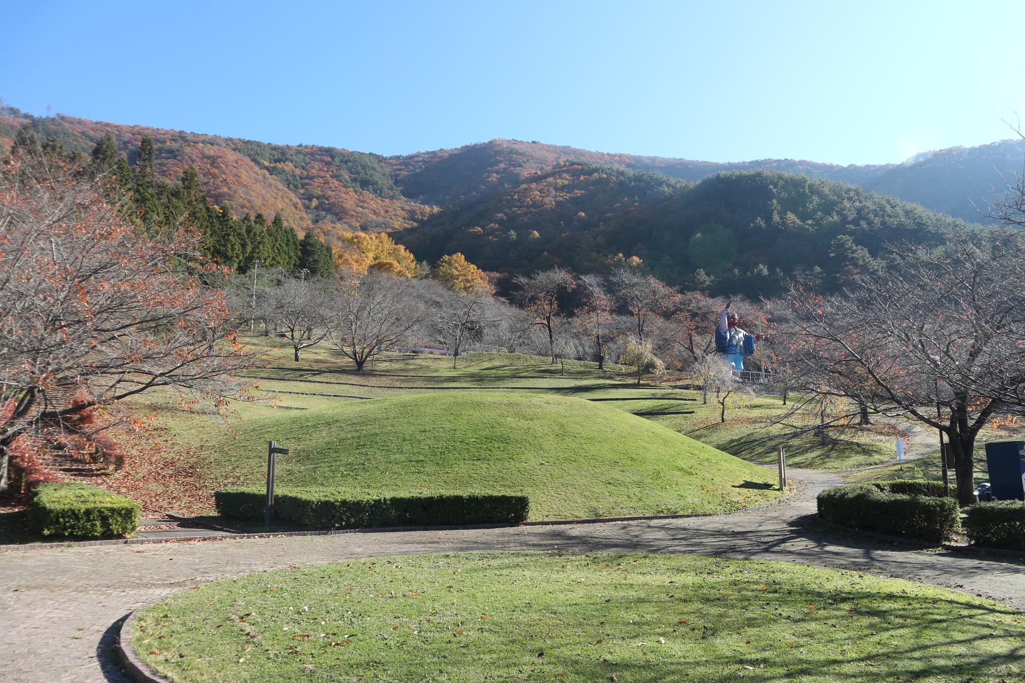 葉が落ちた木々に囲まれた、小高い丘のある芝生の広場の写真