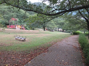 木々に囲まれた芝生の上に、ベンチや遊具がある公園の写真