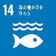 sdgs14アイコン