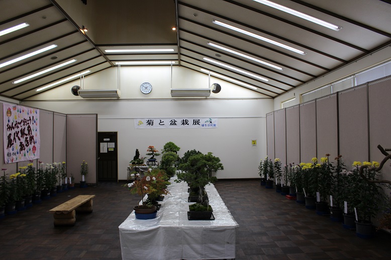 第51回菊と盆栽展