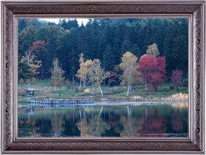 池を手前に奥の森や木々を撮影した写真
