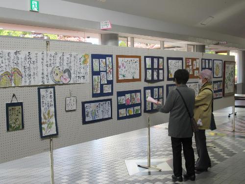 展示2