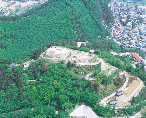 木々に囲われた城山史跡公園を上空から撮影した写真