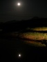 真っ暗な夜闇に煌々と月が登り、棚田を照らしている写真