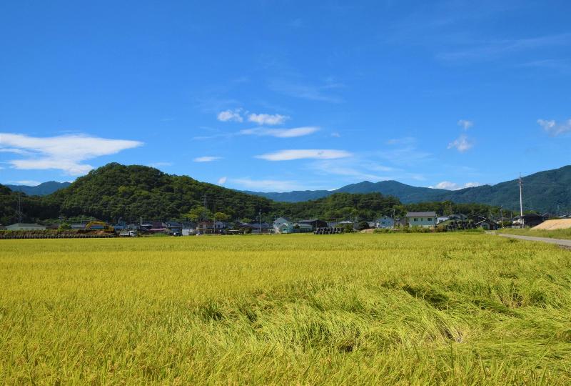 屋代城遠景