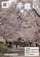 満開の桜並木が道を覆うように咲き誇り、桜のトンネルのようになっている、2020年5月号の市報表紙
