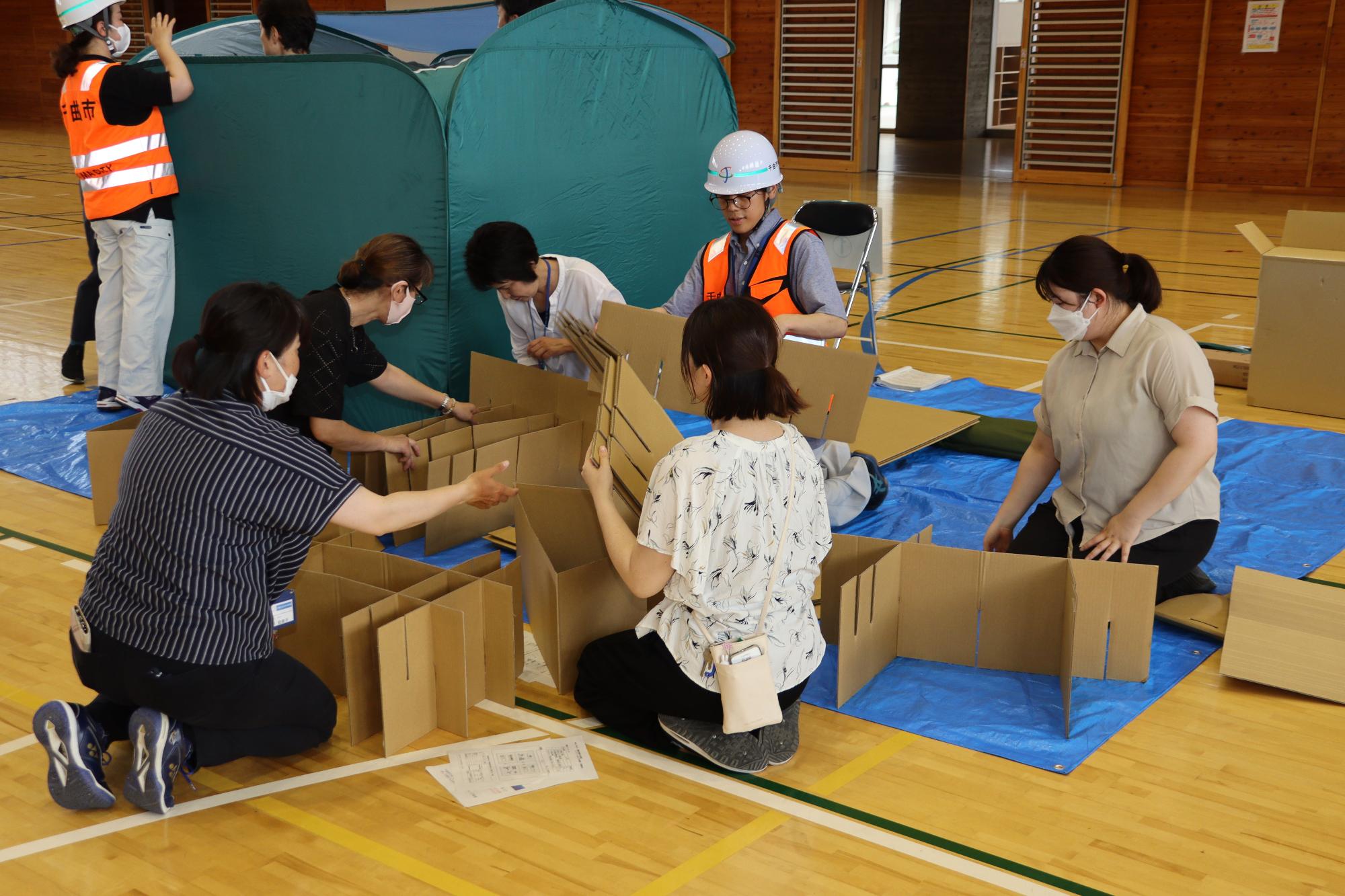 ダンボールベットを組み立てる市職員と学校教職員