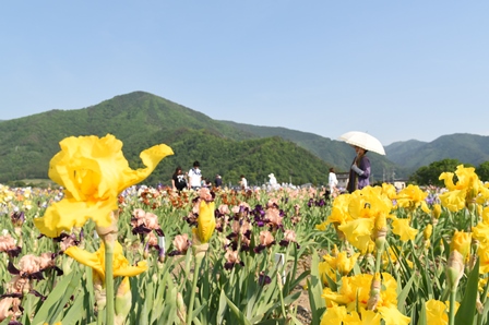 花畑の中で来場者たちが歩きながら植物を観賞している写真